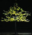 LED tree