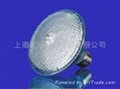 LED Decorative Lamp-LED PAR30