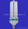 Compact Fluorescent Lamp U Shape-2U,3U,4U,6U,8U