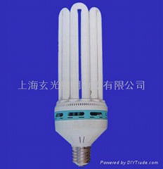 Compact Fluorescent Lamp U Shape-2U,3U,4U,6U,8U