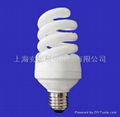 Compact Fluorescent Lamp Spiral Shape