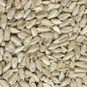 SUNFLOWER  KERNEL AA