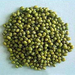 GREEN MUNG BEAN