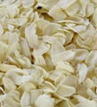 DEHYDRATED GARLIC FLAKES 1