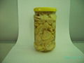 CANNED MUSHROOM PIECES AND STEMS 1