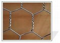 hexagonal wire netting 1