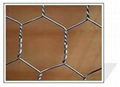 hexagonal wire netting