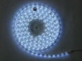 LED FLEXIBLE STRIP 1