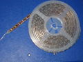 LED FLEXIBLE STRIP 2