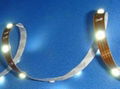 LED RIBBON STRIP 1