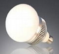 LED BULB