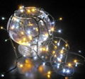 LED CHRISTMAS LIGHT STRING 1