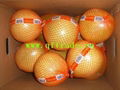 Pomelo 2