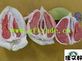 red pomelo