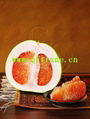 red pomelo 3