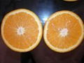 Navel Orange 1