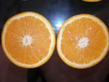 Navel Orange