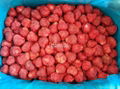 Frozen strawberry,lingbonberry, mulberry, blackberry,blueberry 1