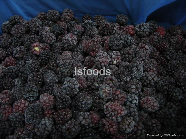 Frozen strawberry,lingbonberry, mulberry, blackberry,blueberry 5