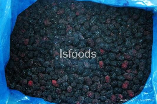 Frozen strawberry,lingbonberry, mulberry, blackberry,blueberry 4