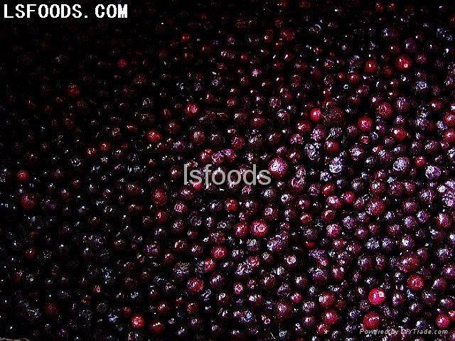 Frozen strawberry,lingbonberry, mulberry, blackberry,blueberry 2