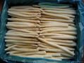 Frozen asparagus 1