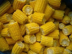 Frozen sweet corn