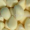 garlic clove 1