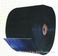 Nylon Conveyor Belt (NN)