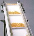 Foodstuff Conveyor Belt