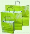 Paper Shopping Bag / Paper Bag