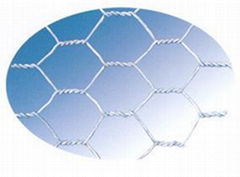 Hexagonal wire mesh 
