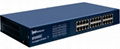 24 Port Gigabit Switch