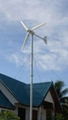 300W Wind Turbine 1