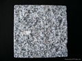 granite G341 tiles 1