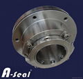 mechanical seal 1