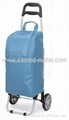 cooler bag shopping trolley/trolley bag 3