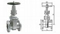 Cast Iron Gate Valve (Rising Stem) ANSI-125   1