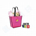 Non Woven Bag