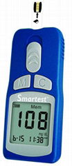 Blood glucose monitor