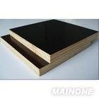 birch plywood 4