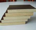 WBP plywood