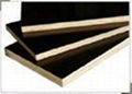 commercial plywood