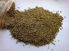 cumin seeds