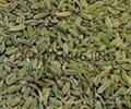 fennel seeds 1