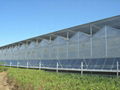 Polycarbonate panel gutter-connected greenhouse