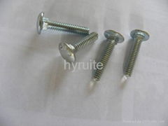 carriage bolt