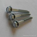 hex head tapping screw with washer 2