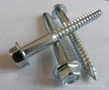 hex head tapping screw with washer 3