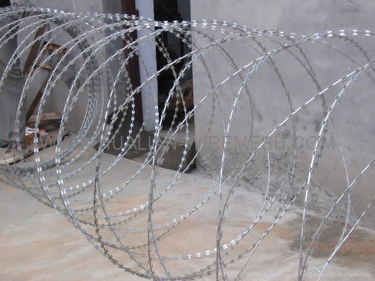 razor wire  4